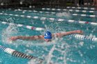 Swimming vs Babson  Wheaton College Swimming & Diving vs Babson College. - Photo By: KEITH NORDSTROM : Wheaton, Swimming